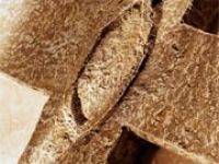 Emberhalász tábor a katolikus iskolában a víz és tűz jegyében